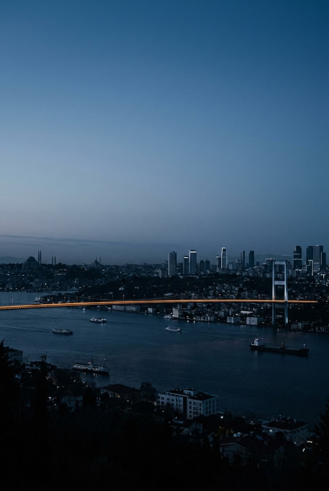 El Bósforo de noche desde una colina de Estambul, con el puente iluminado
